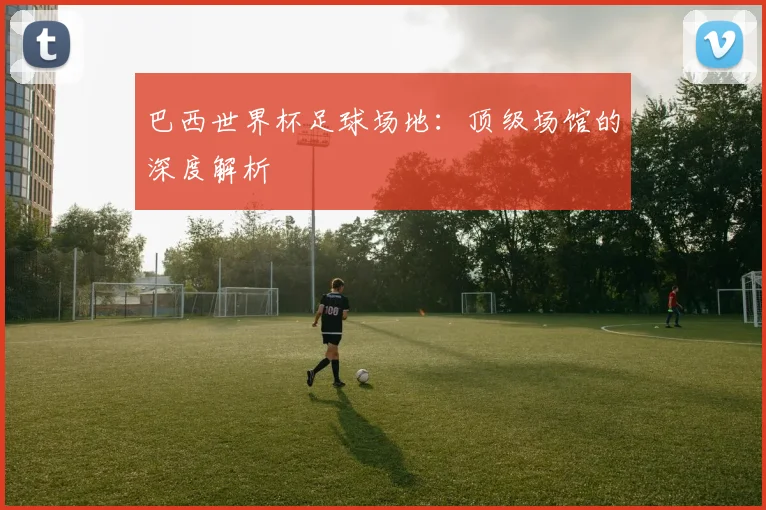巴西世界杯足球场地：顶级场馆的深度解析