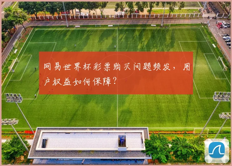 网易世界杯彩票购买问题频发，用户权益如何保障？