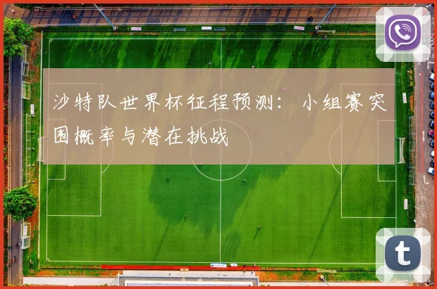 沙特队世界杯征程预测：小组赛突围概率与潜在挑战
